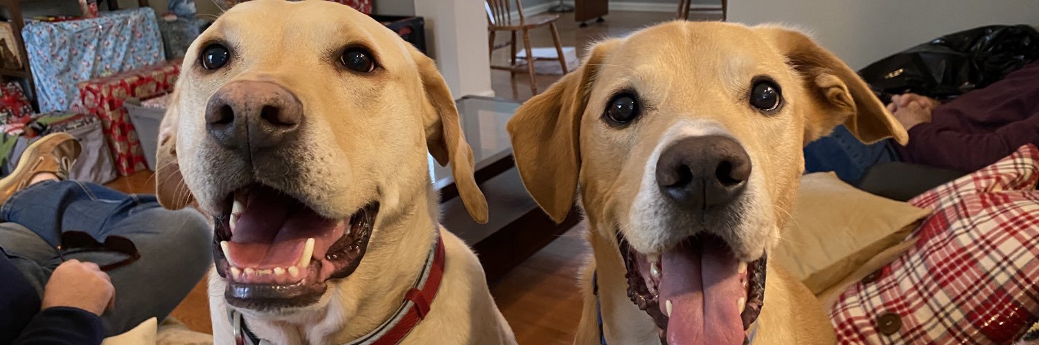HowTheProsDoIt's banner