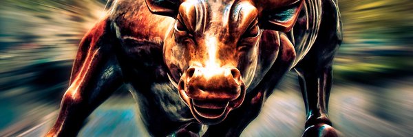 stebottaioli Profile Banner