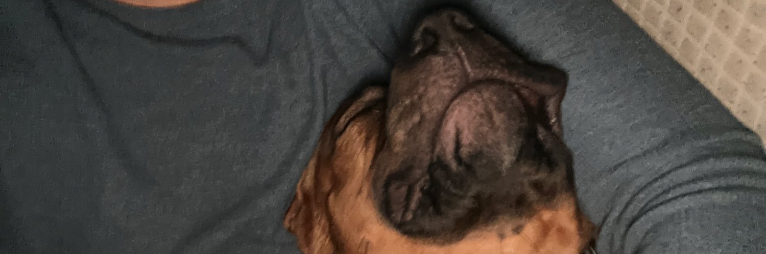 DabboFlaco's profile banner image