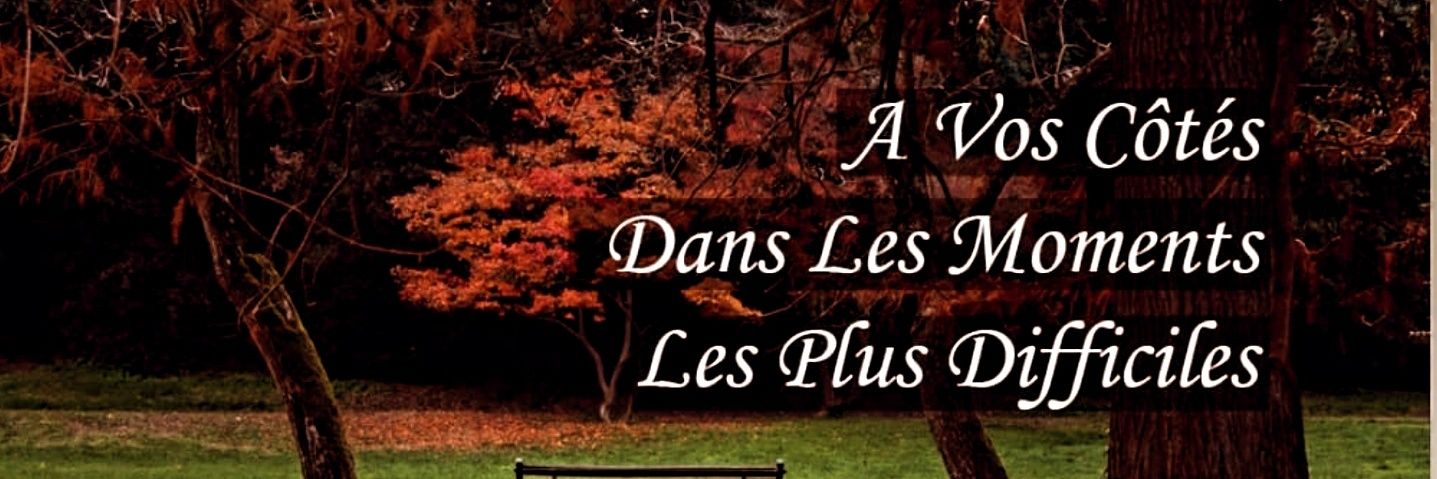 pfmveda's profile banner image