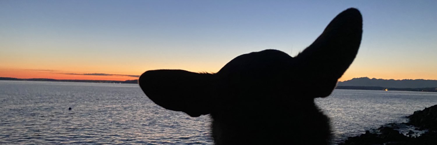 _mal_lory's profile banner image