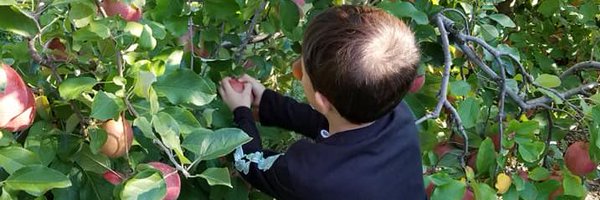 Darla412 Profile Banner