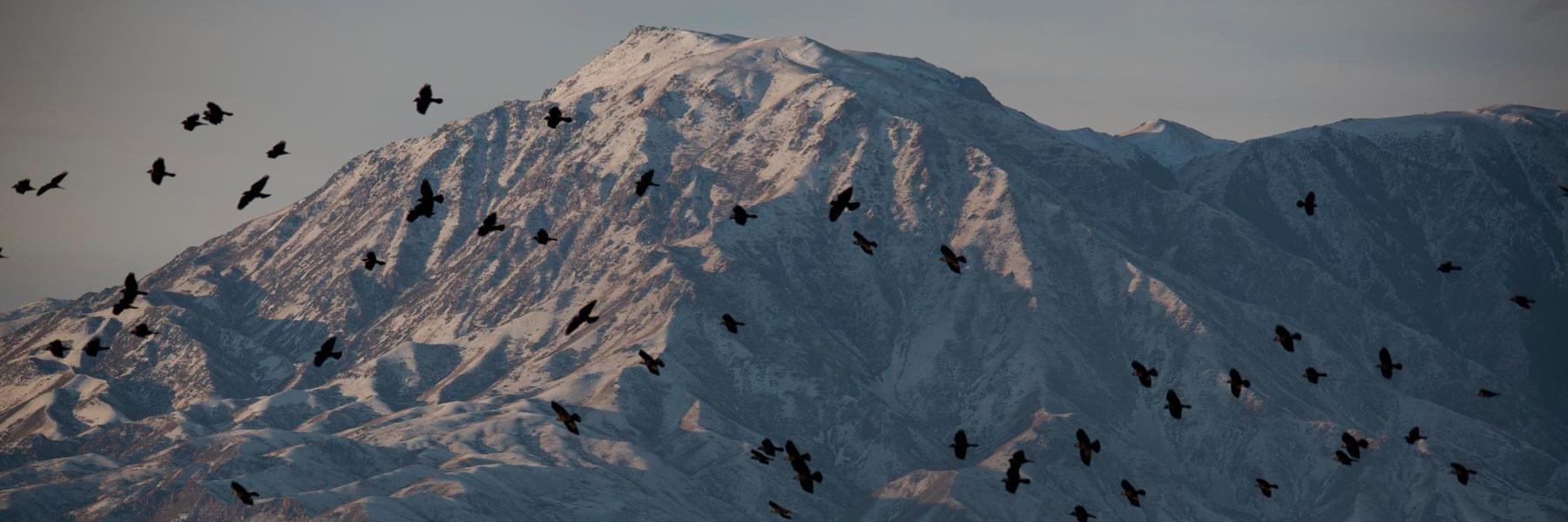 rayhandemytrie's profile banner image