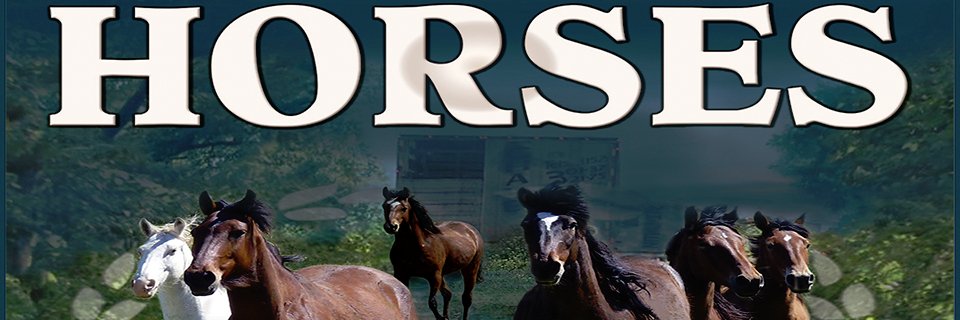 savingamehorses's profile banner image