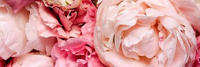 MichelleBibi1's profile banner image