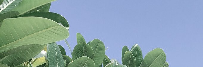 _alNajjarM's profile banner image