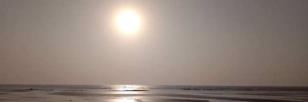 ajayP0 Profile Banner