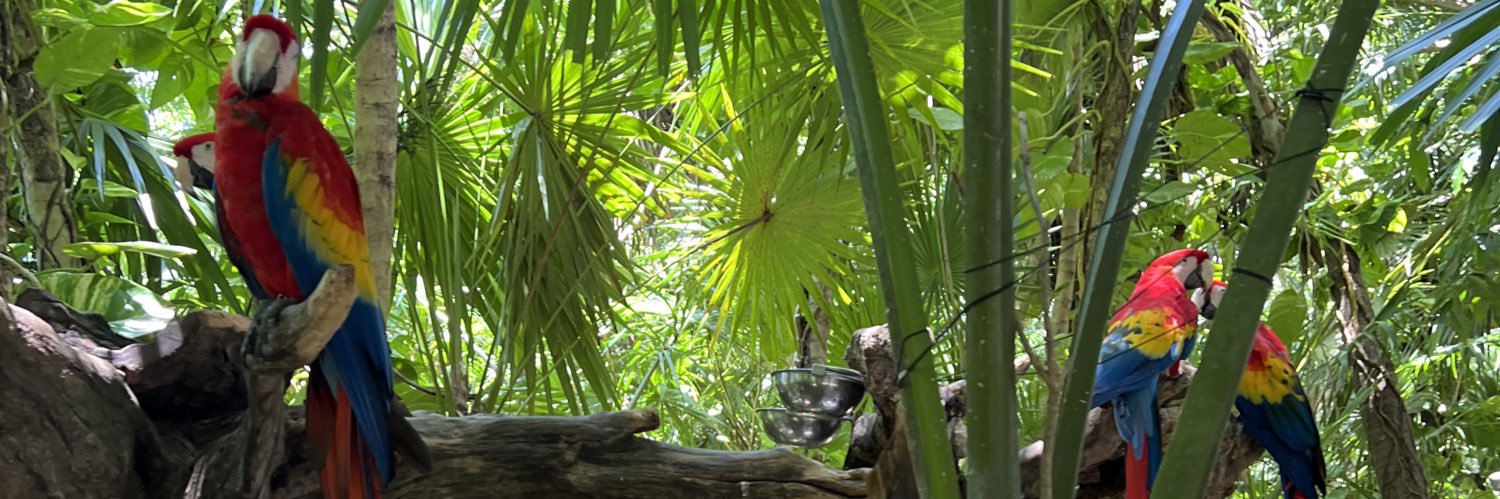 siscomusic's profile banner image