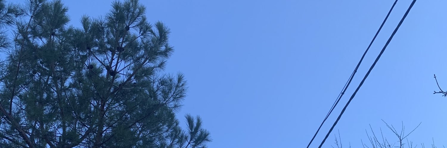 Lyddiaa_'s profile banner image