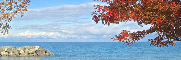 MichaelHeimlich Profile Banner