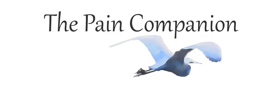 ThPainCompanion's profile banner image