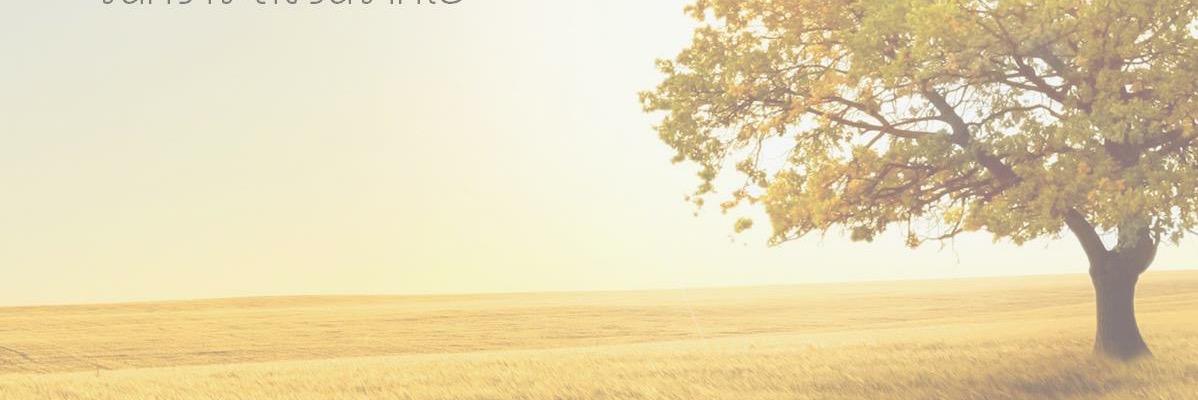 Punch_10's profile banner image
