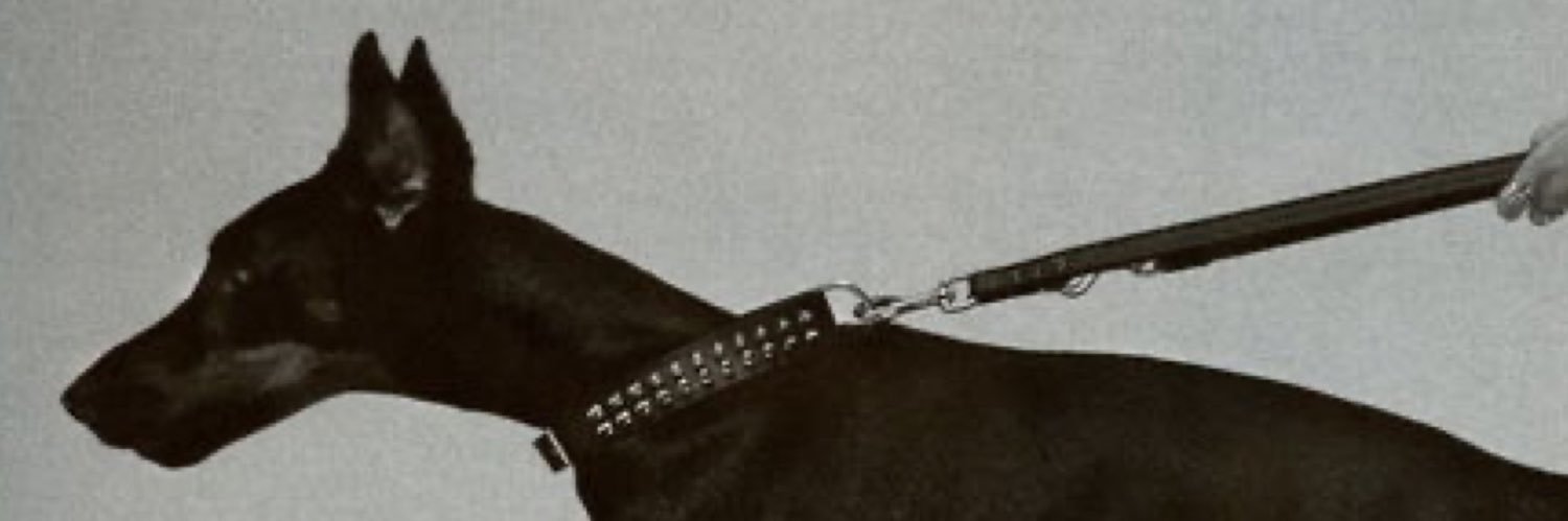 HadeerAbdin's profile banner image