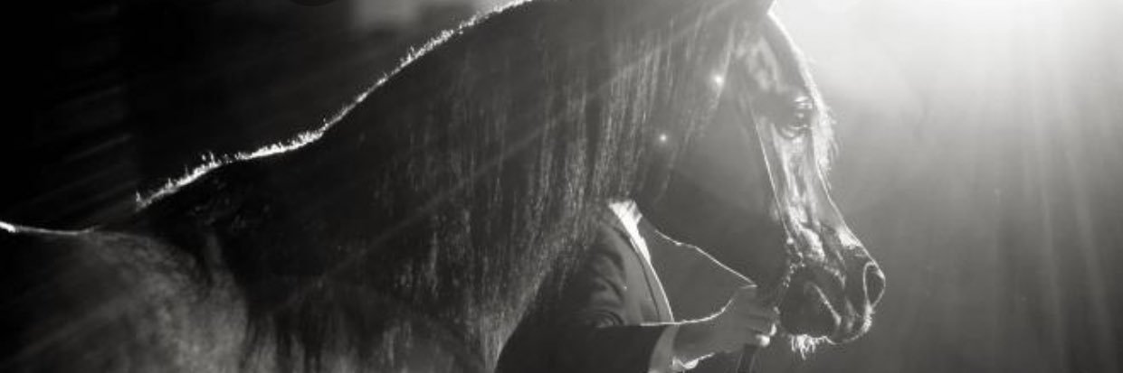 DreamToot's profile banner image
