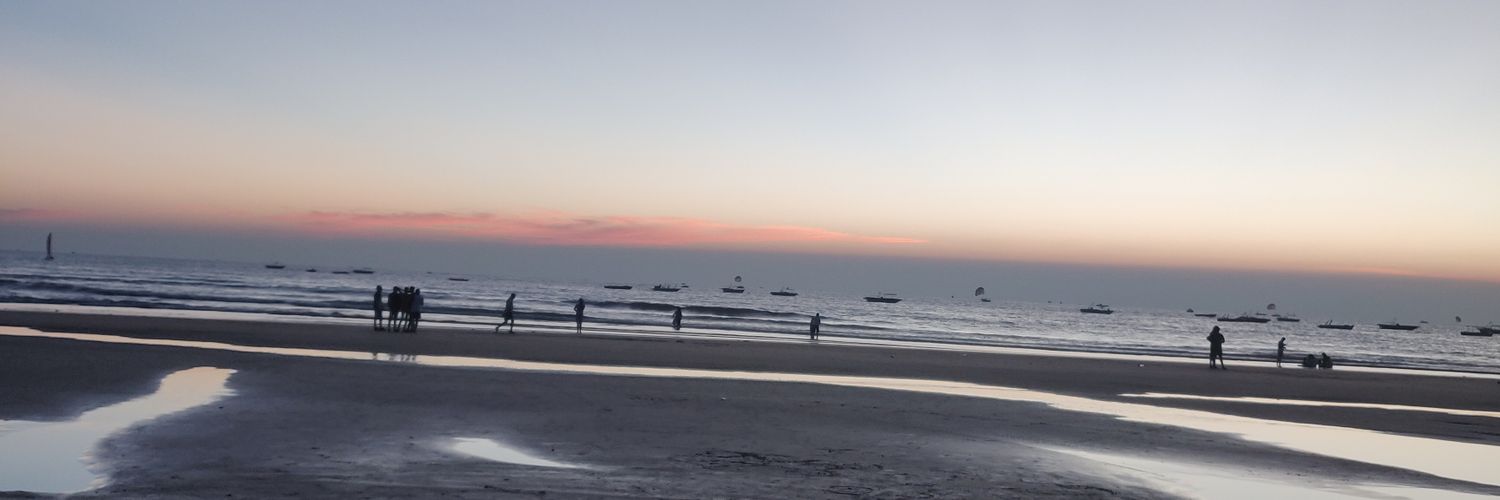 SuhasiniSinha's profile banner image