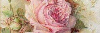CashionDeborah's profile banner image