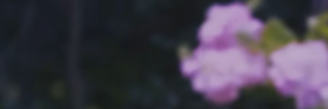 pimk27's profile banner image