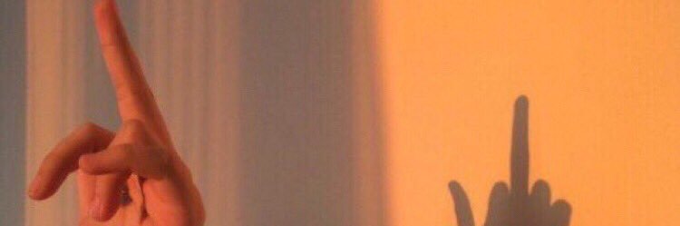 SIvleva's profile banner image