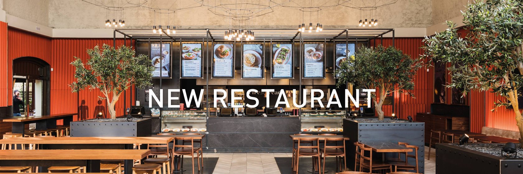 Isabel López Vilalta banner