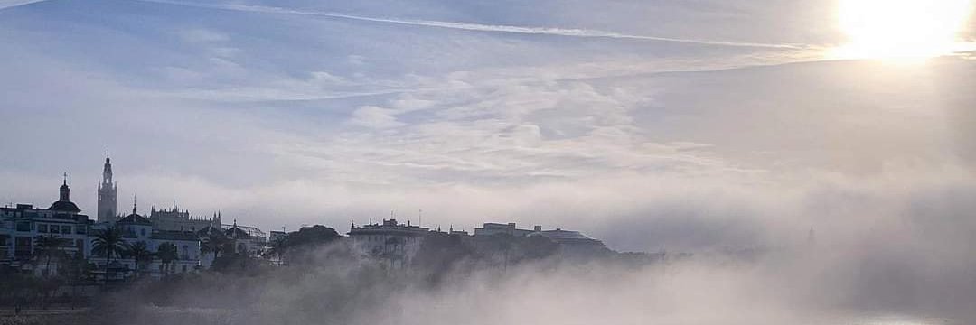 scamachin's profile banner image
