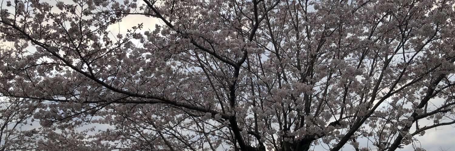 gurein2's profile banner image