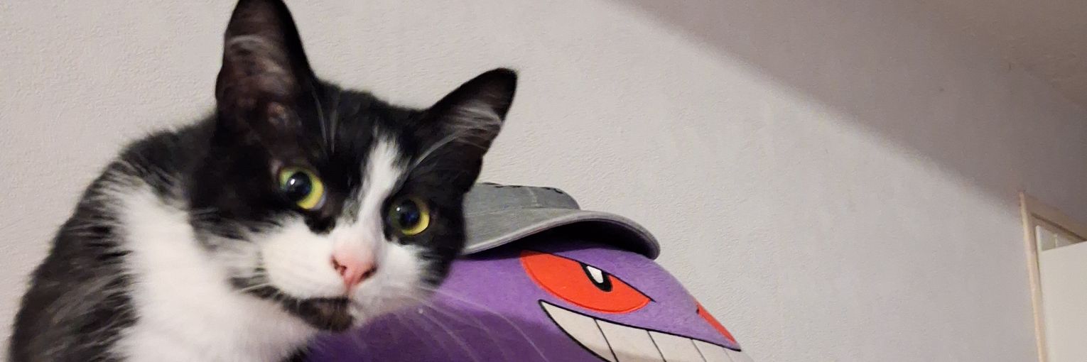 yownne's profile banner image