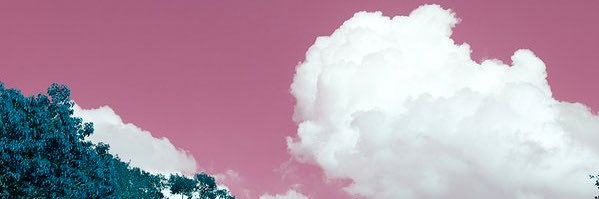 beleemir's profile banner image