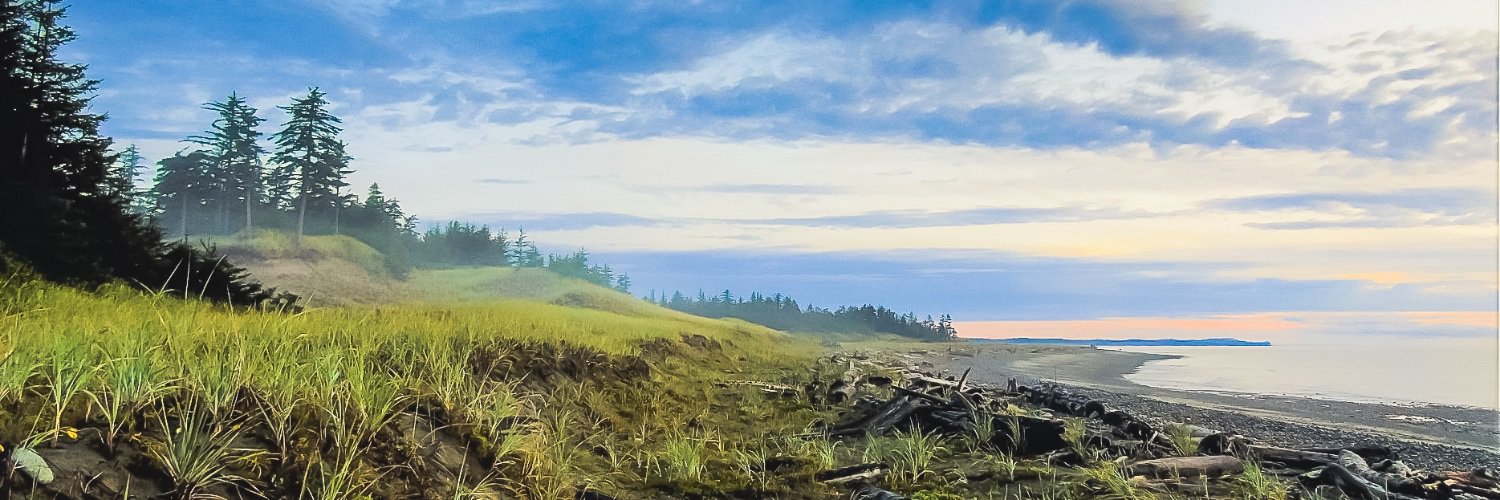 Ecolumberjill's profile banner image
