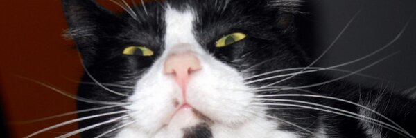 ChristosXanthak Profile Banner