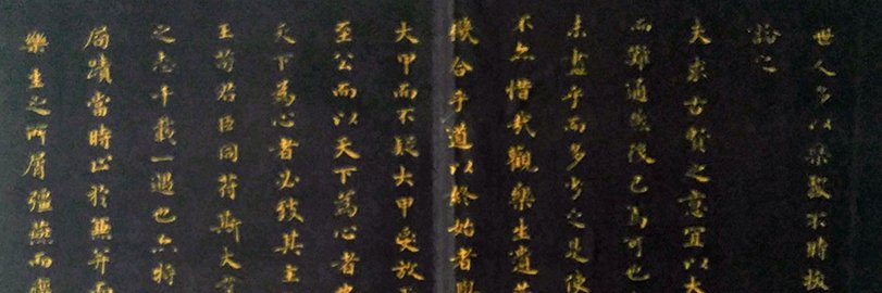 SYMBOL 10's banner