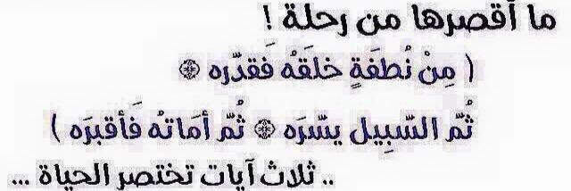 أ.د. عوض المالكي banner