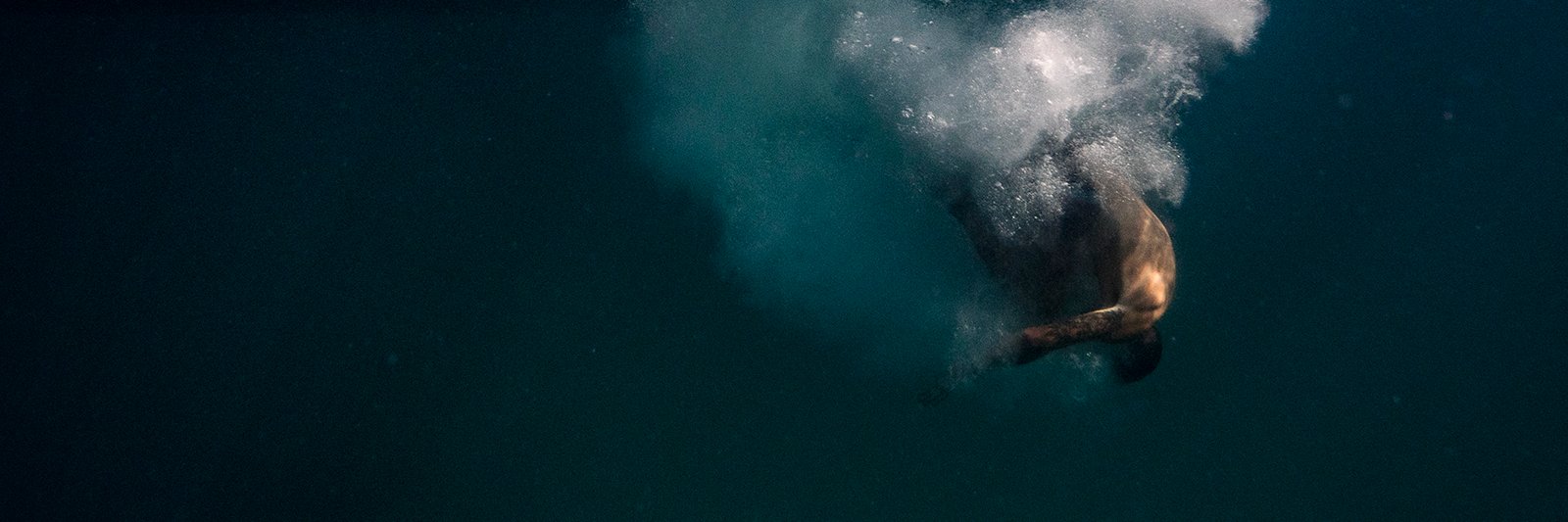 Natalia Horinkova banner