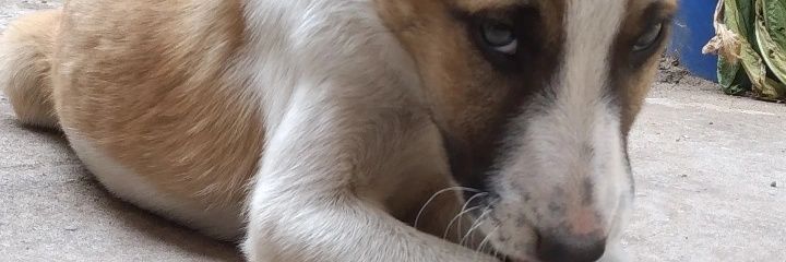 aylen_biscarra's profile banner image