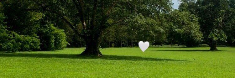 PRAW_NL's profile banner image