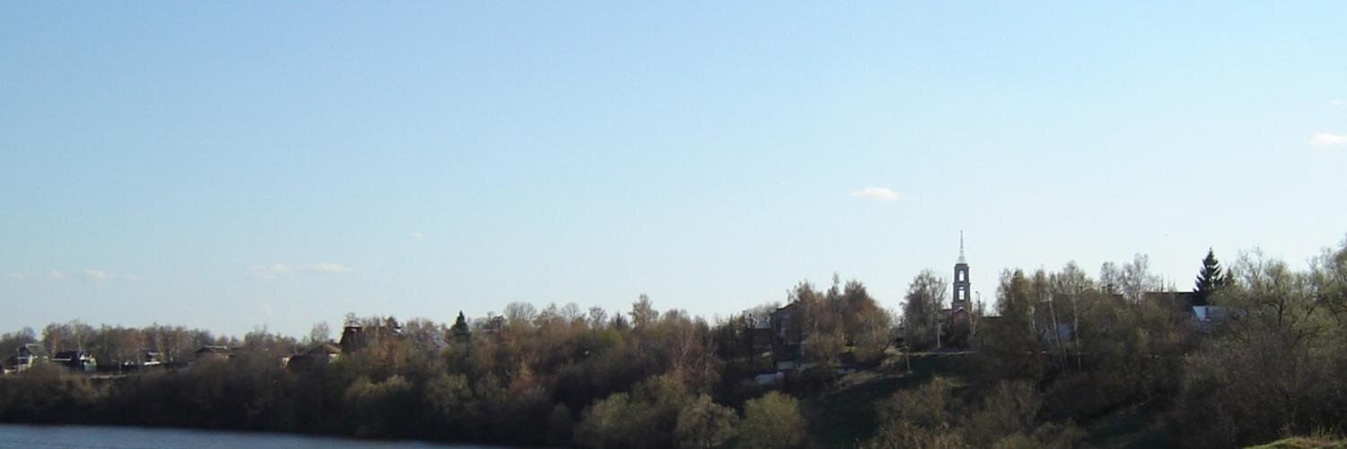 Роман Рогожин banner