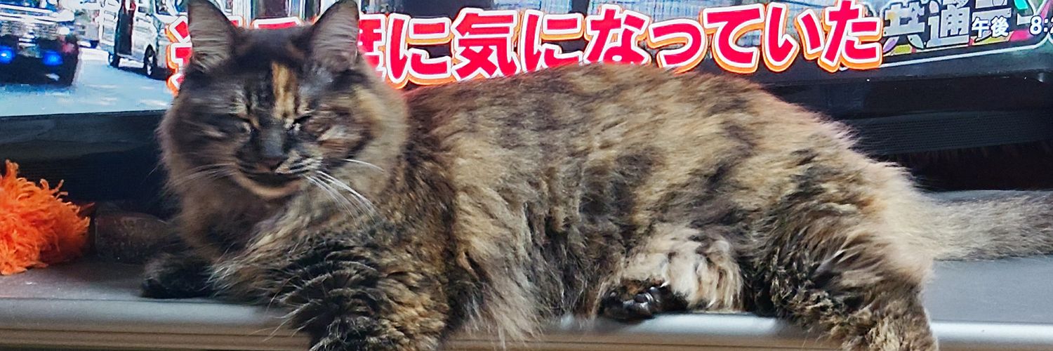 ponkyu's profile banner image