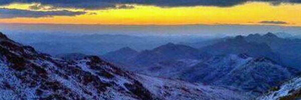 almswer Profile Banner