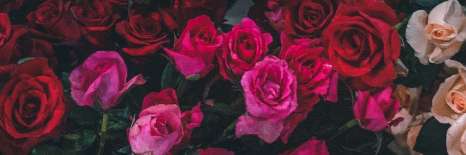 AfryliaHA's profile banner image