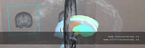 krebs_claudia Profile Banner