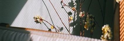 NnnnSoso's profile banner image