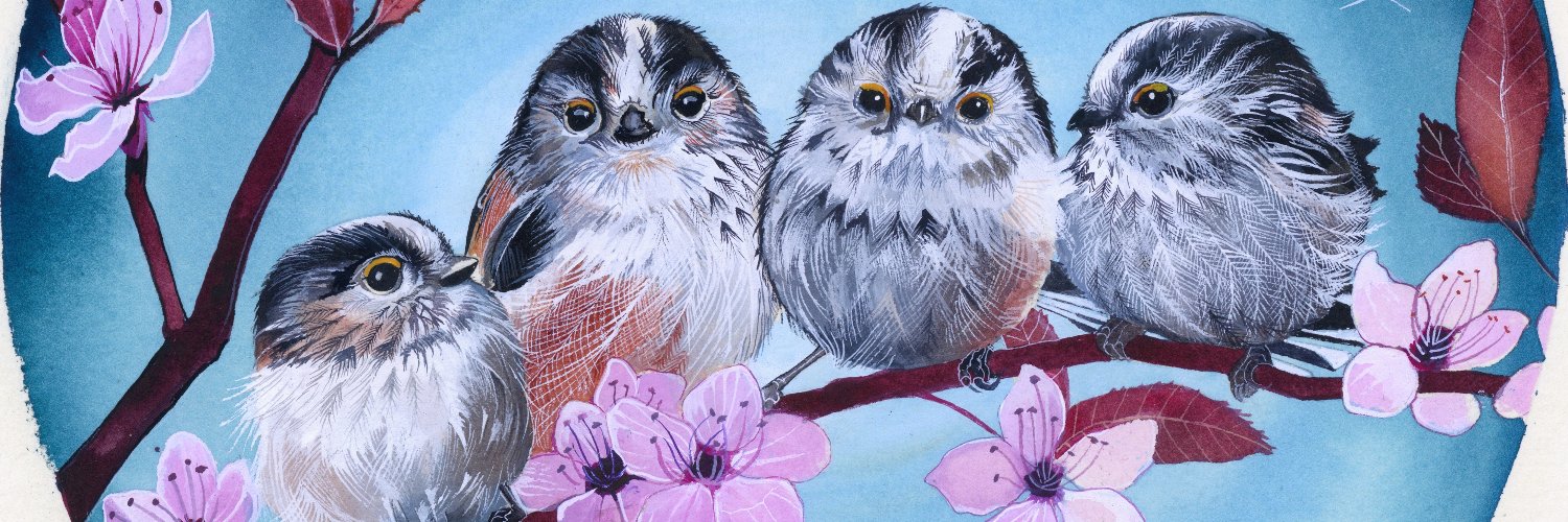 Sam Cannon Art's banner