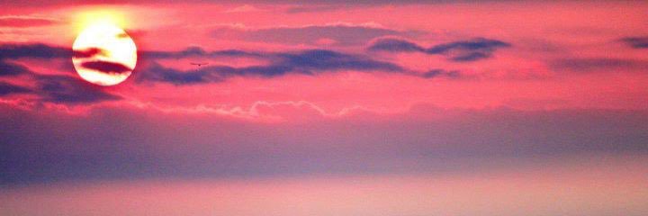 fairchild_ryan's profile banner image