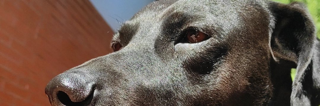 serghy_4's profile banner image