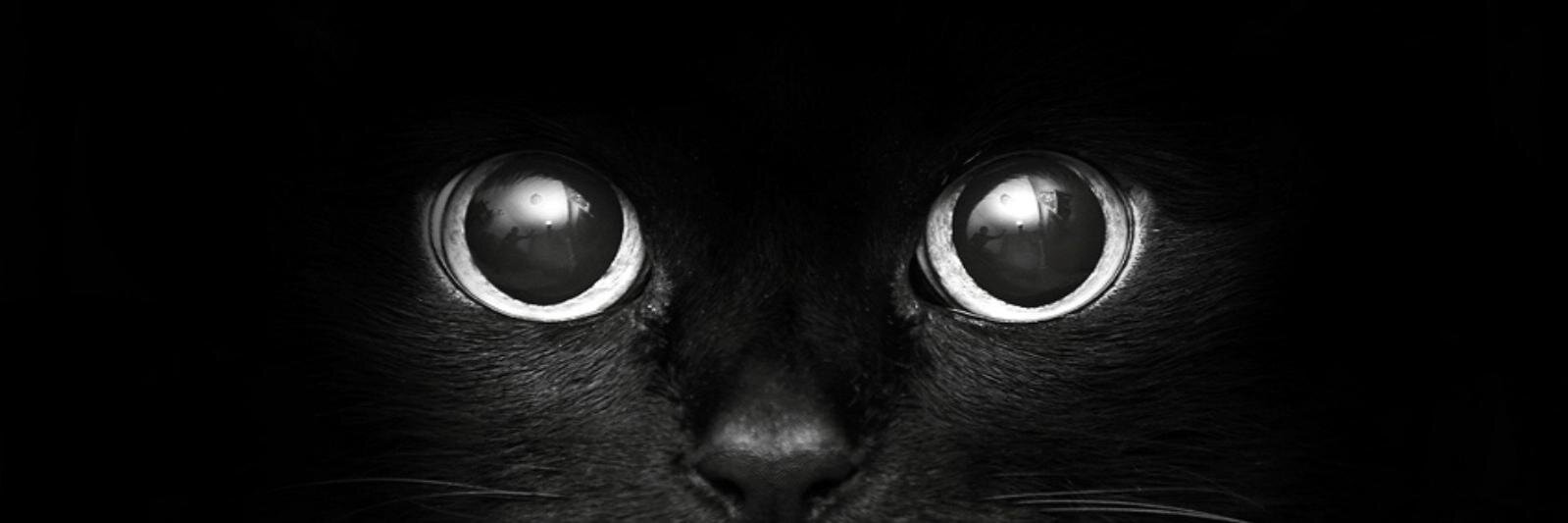 Joselzap's profile banner image