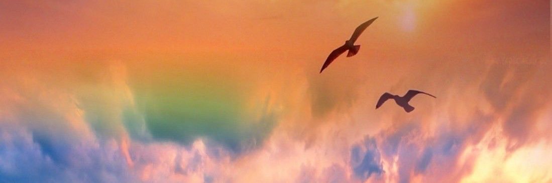 TS_ss10's profile banner image