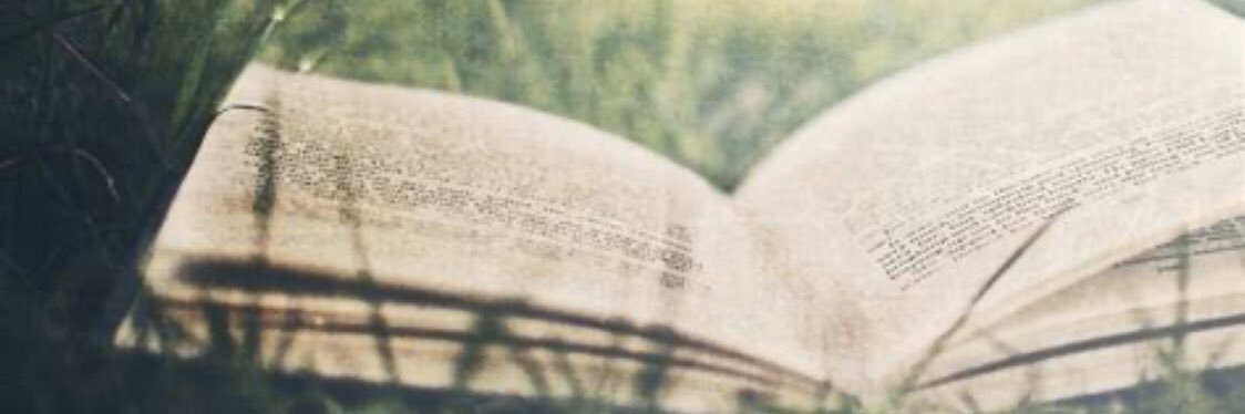 xoxoaisa's profile banner image