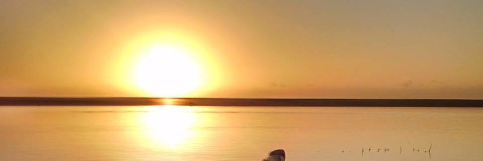 Thunti's profile banner image
