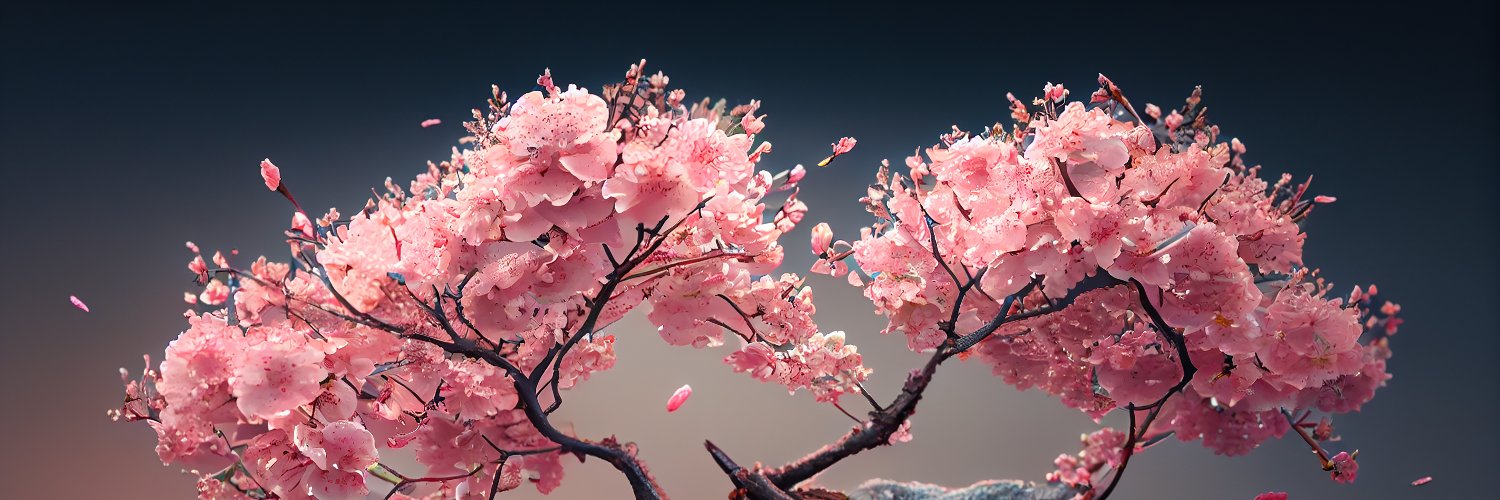 laitanopr's profile banner image
