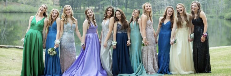 ansley browning banner
