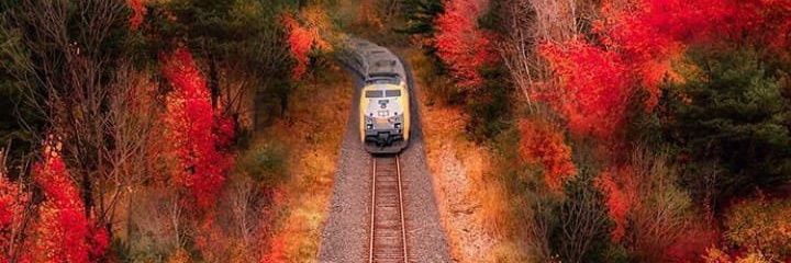 Railmegam's profile banner image